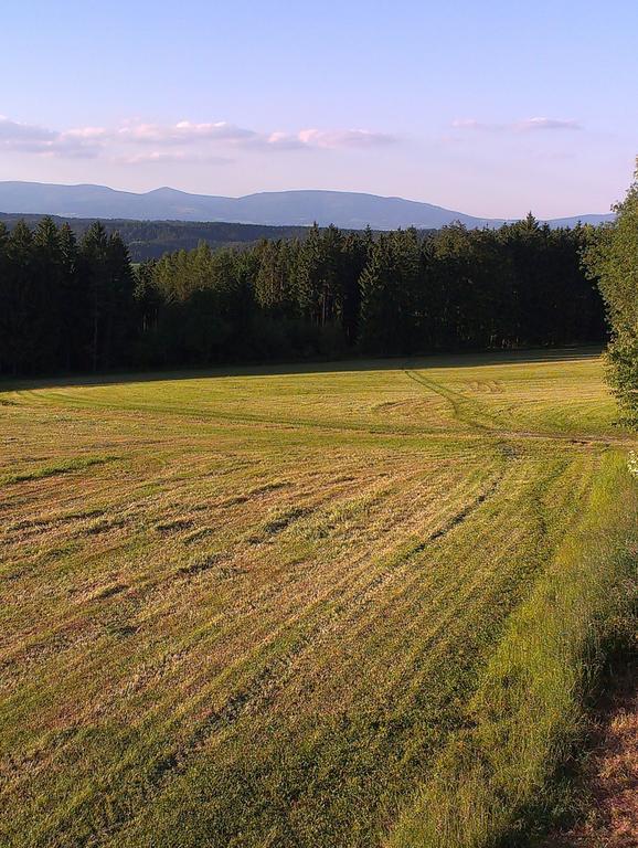 Penzion Pod Vyhlidkou Pecka Exteriör bild