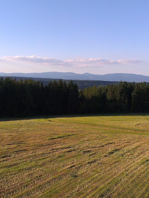 Penzion Pod Vyhlidkou Pecka Exteriör bild