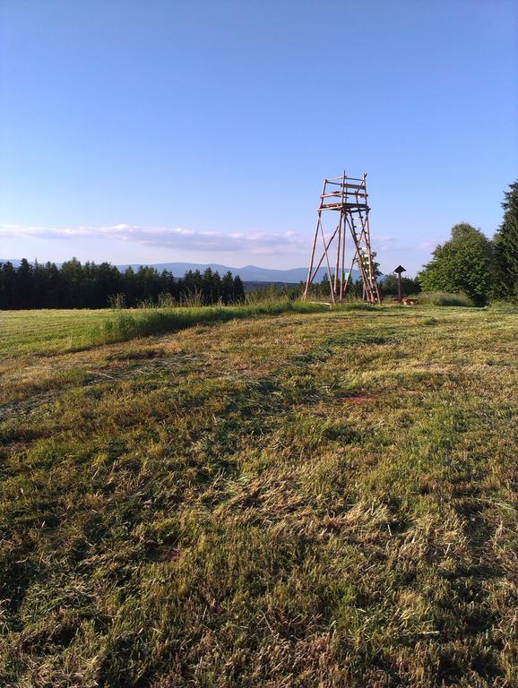 Penzion Pod Vyhlidkou Pecka Exteriör bild